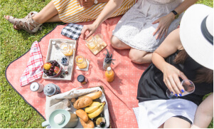 Organise a picnic with friends